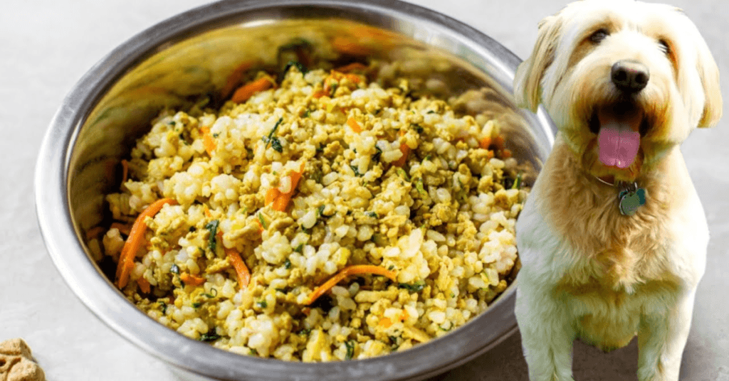 approved-homemade-dog-food-recipes