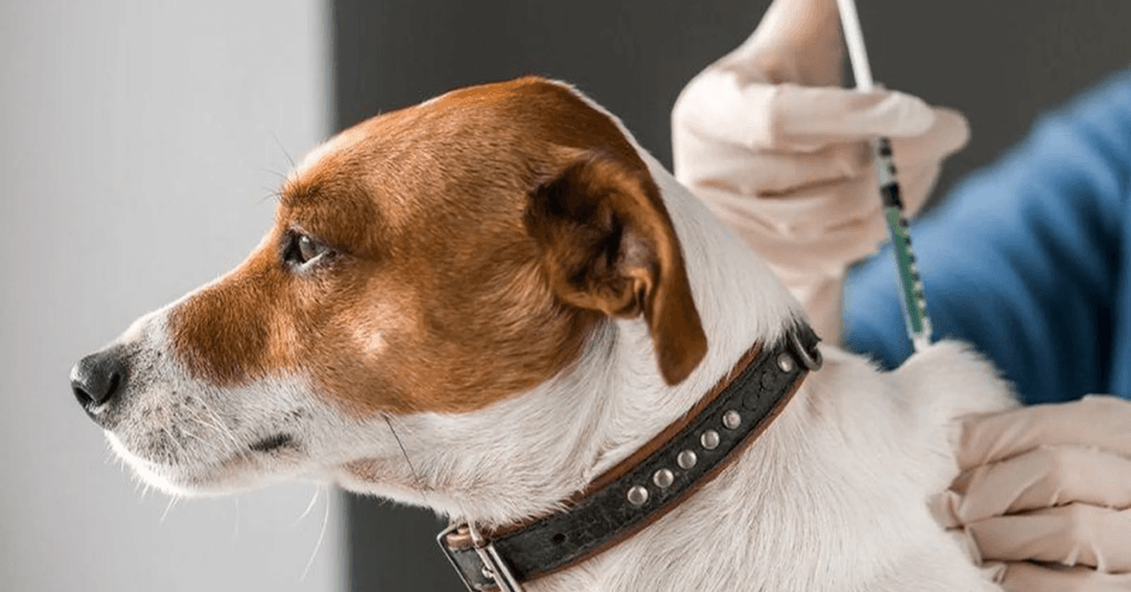 focus-on-preventative-care