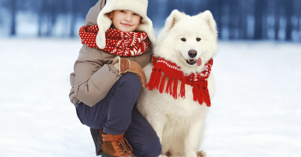 limiting-your-dogs-time-outside-in-winter