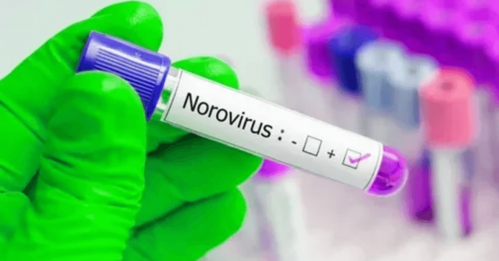 norovirus-types-symptoms-causes-and-effective-treatments