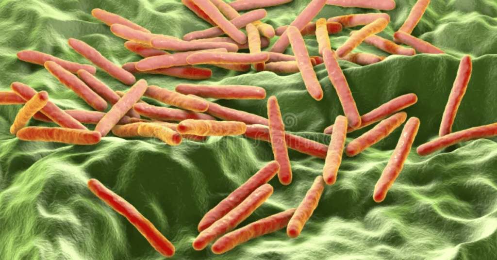 Tuberculosis: Types, Symptoms, Causes, Transmission, and Treatment