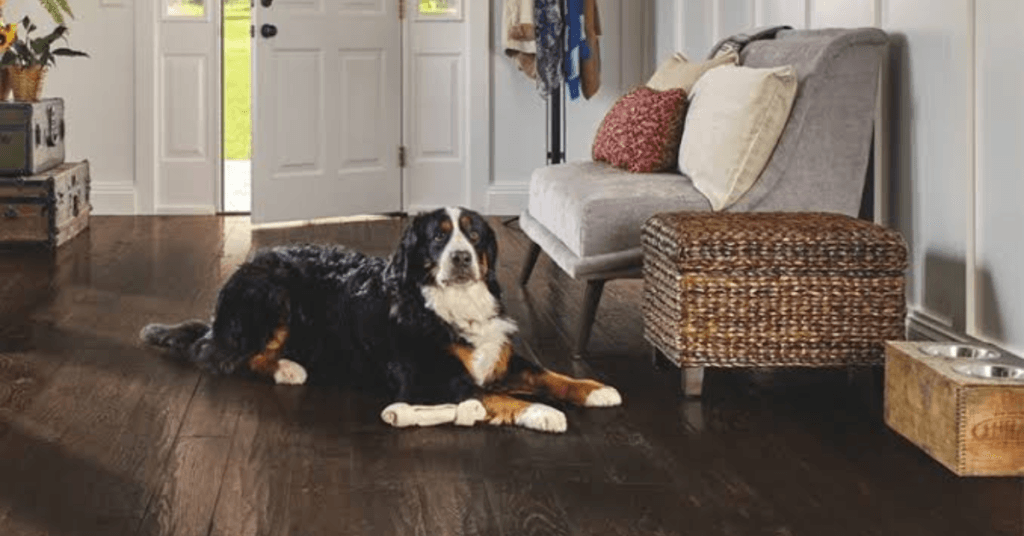 pet-friendly-home-design-best-furniture-flooring-and-safe-spaces